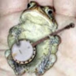 Meet your Posher, Travis